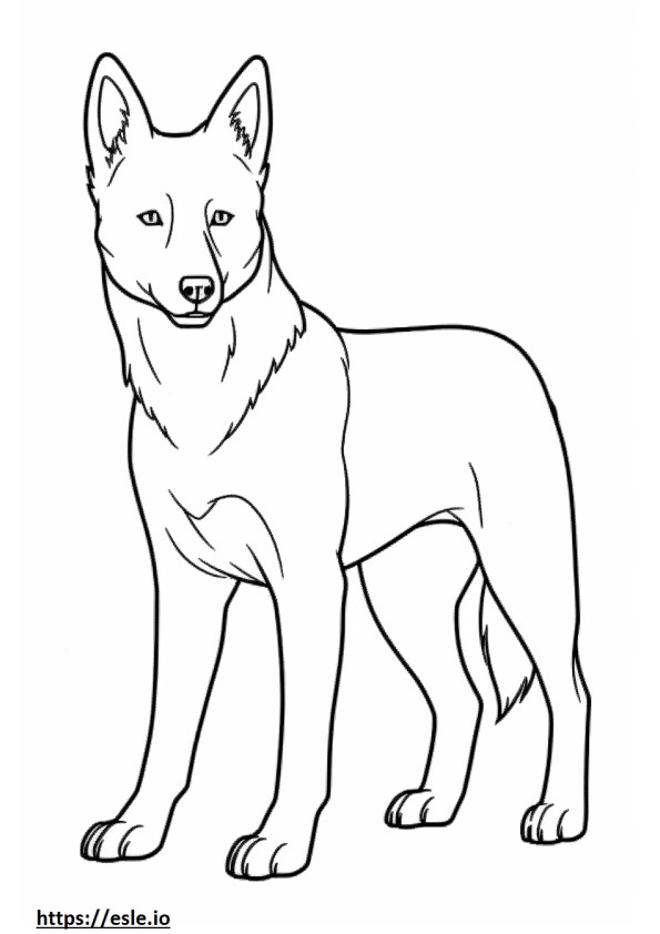 Kanaan-Hund Kawaii ausmalbild