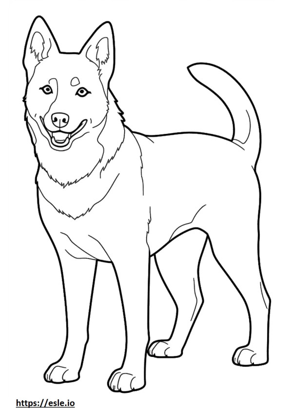 Cachorro Canaã Kawaii para colorir