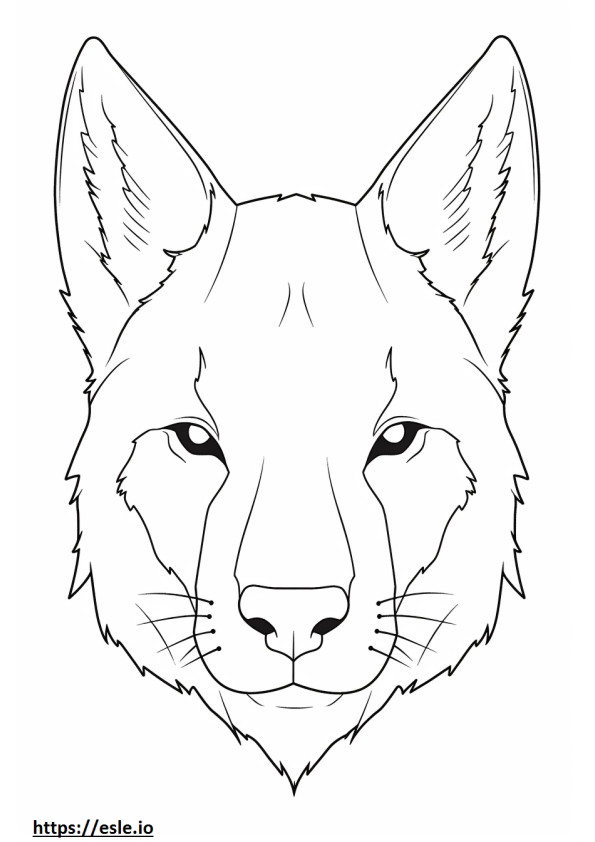 Fața de Canada Lynx de colorat