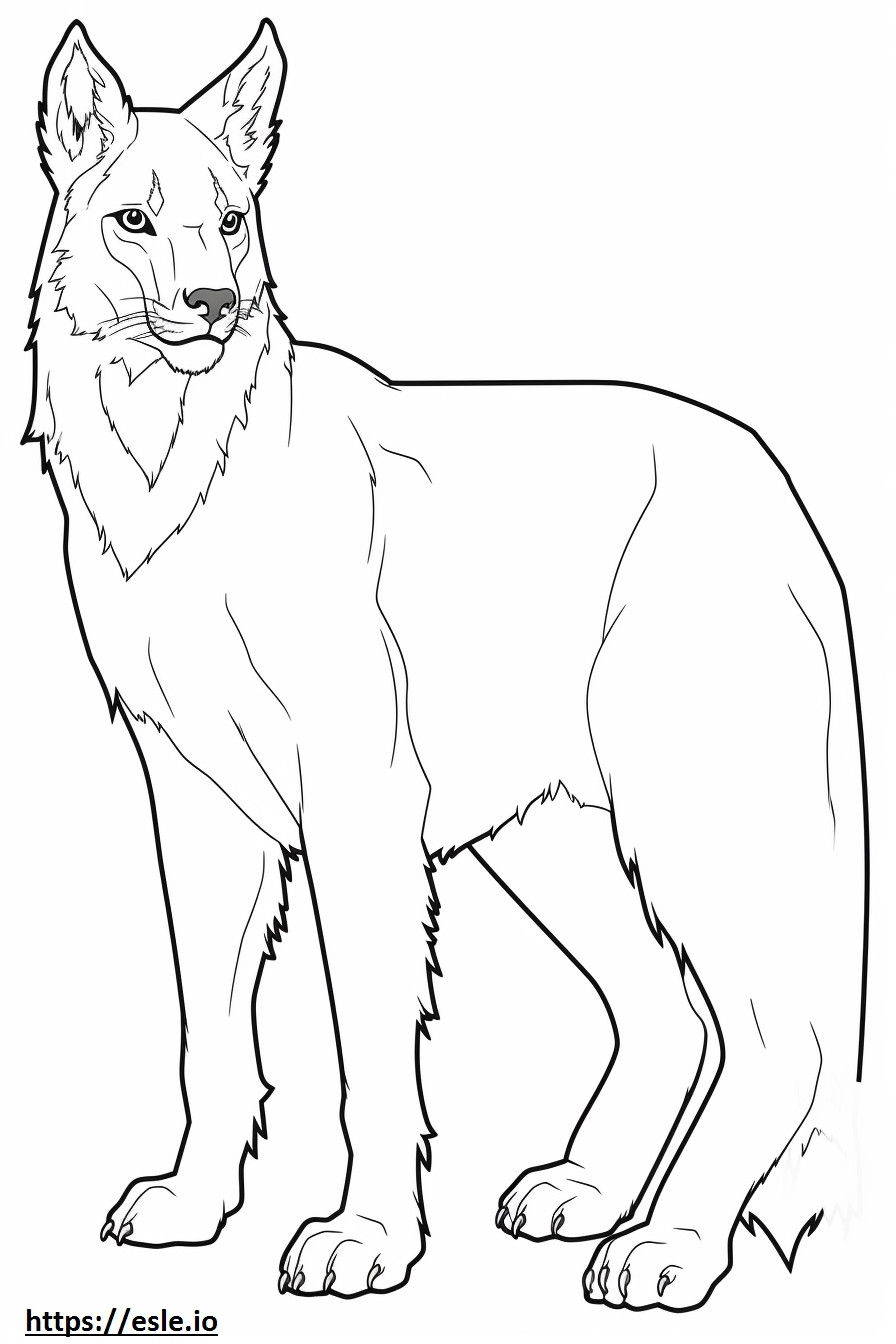 Seluruh tubuh Lynx Kanada gambar mewarnai