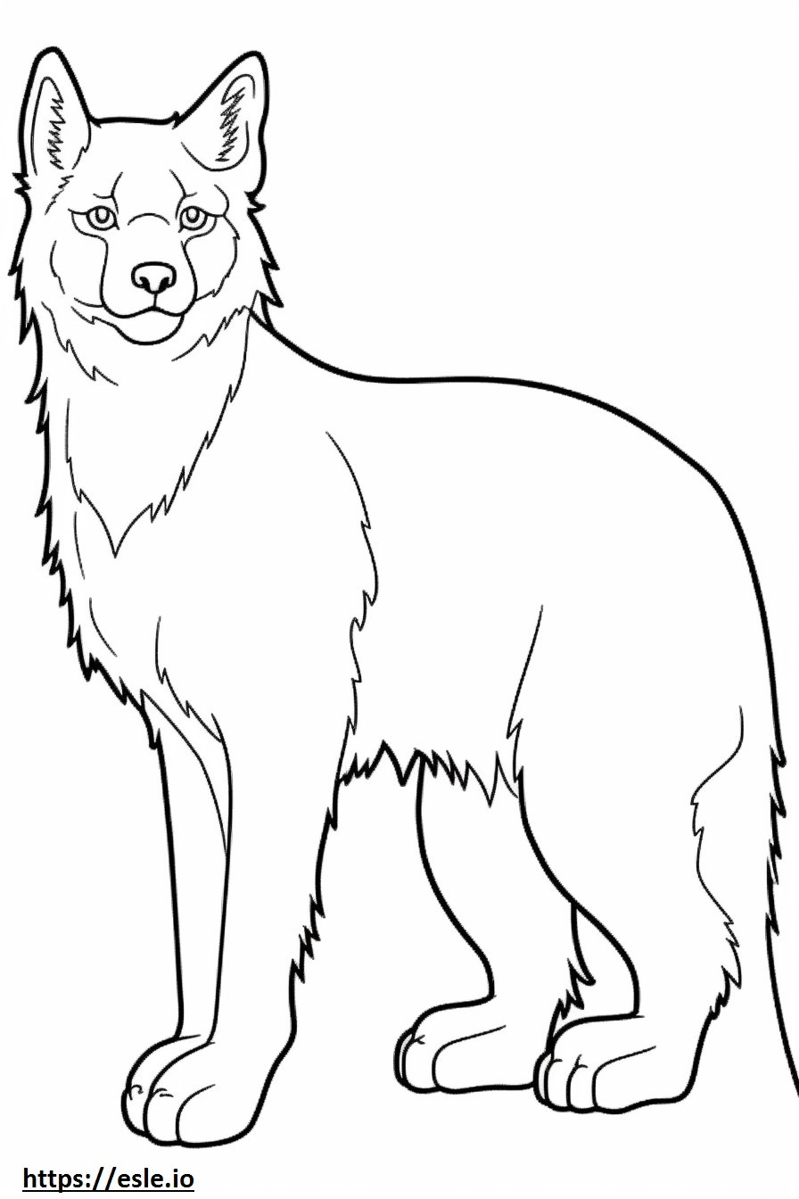 Canada Lynx koko vartalo värityskuva