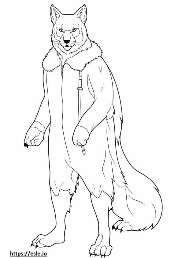 Canada Lynx full body coloring page