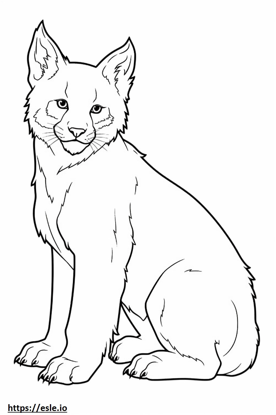 Canadese Lynxbaby kleurplaat kleurplaat