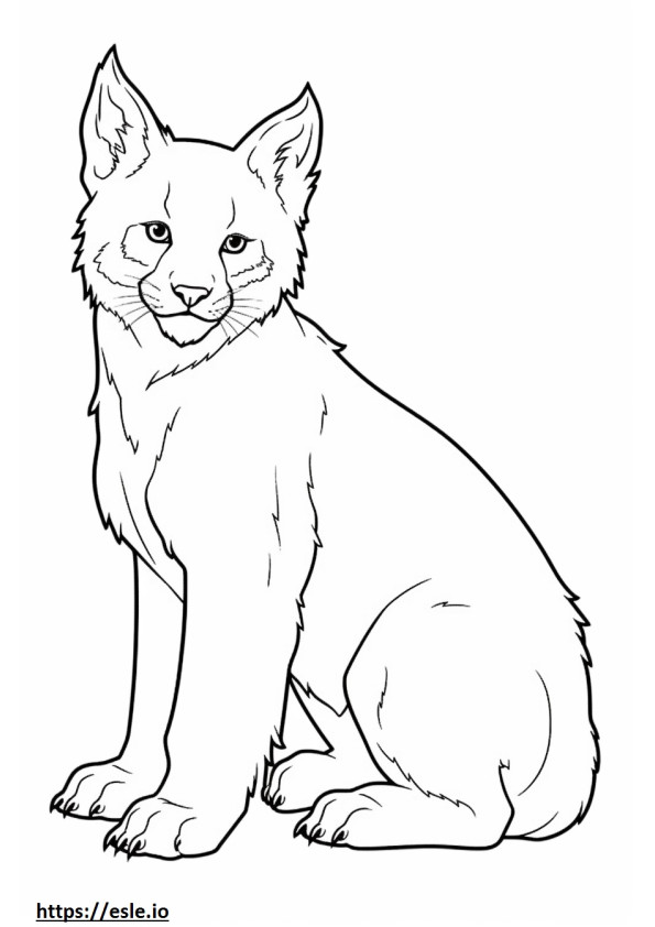 Coloriage Bébé Lynx du Canada à imprimer
