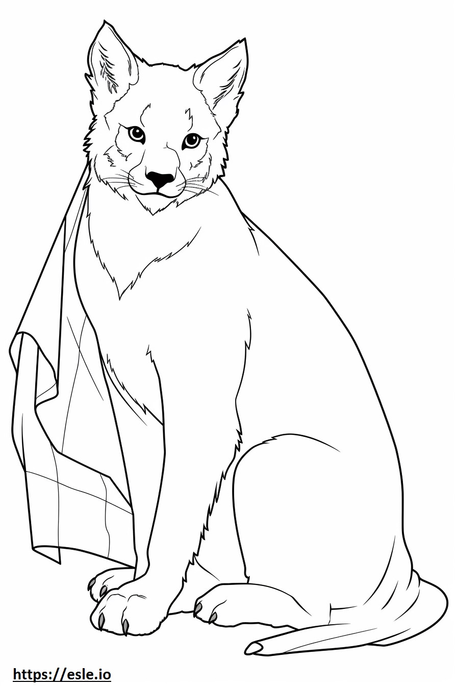 Kanada Lynx bebeğim boyama