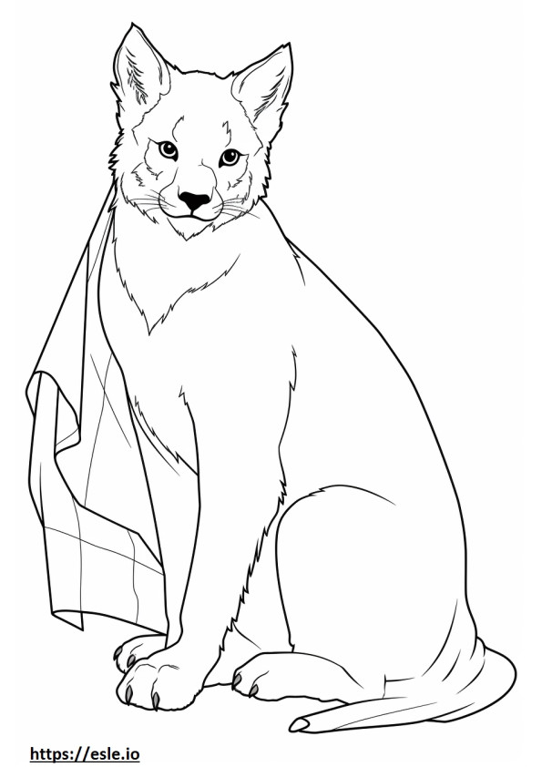 Canada Lynx baby coloring page