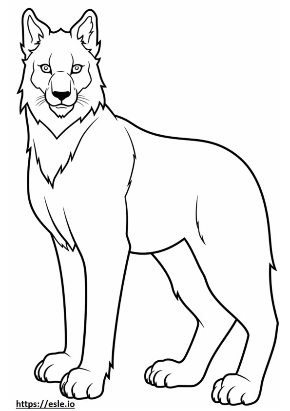 Kanada Lynx karikatür boyama