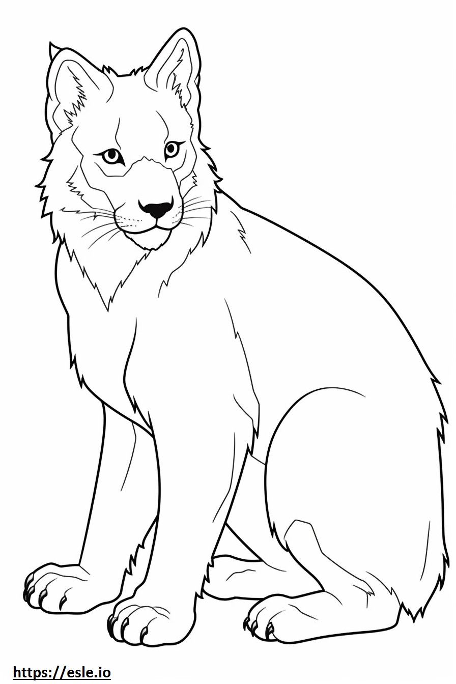 Canada Lynx cute coloring page