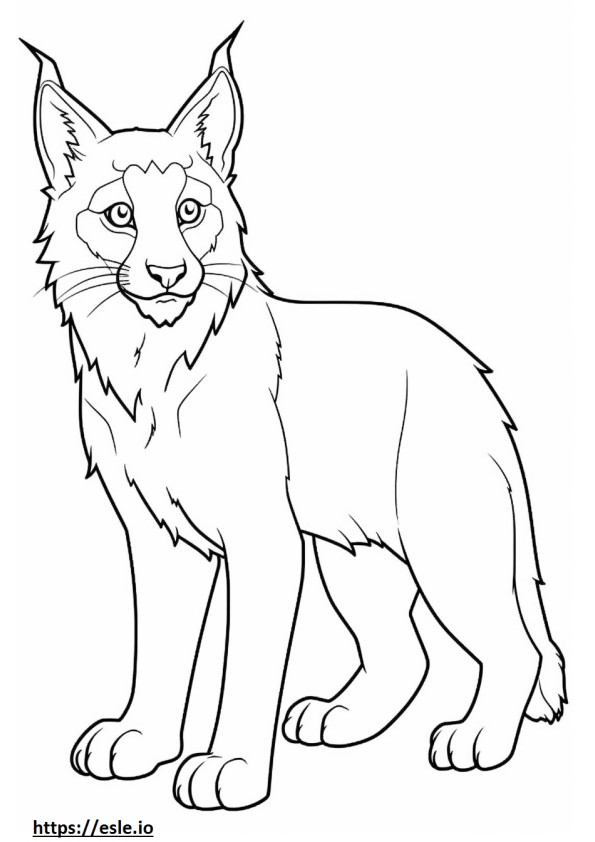 Coloriage Lynx du Canada mignon à imprimer