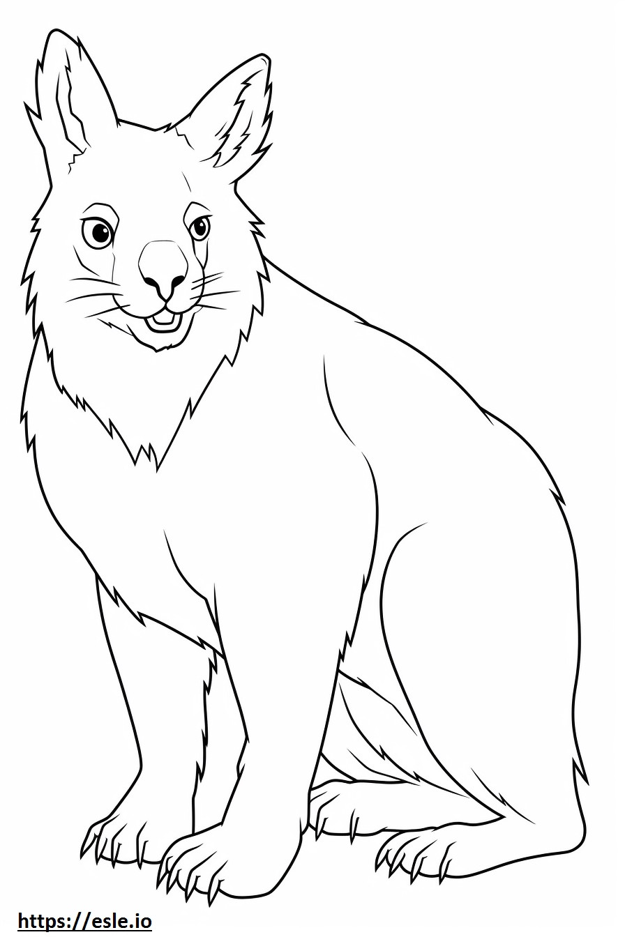 Coloriage Lynx du Canada heureux à imprimer