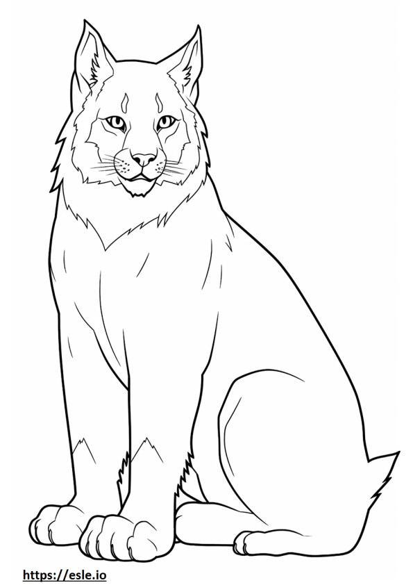 Canada Lynx happy coloring page