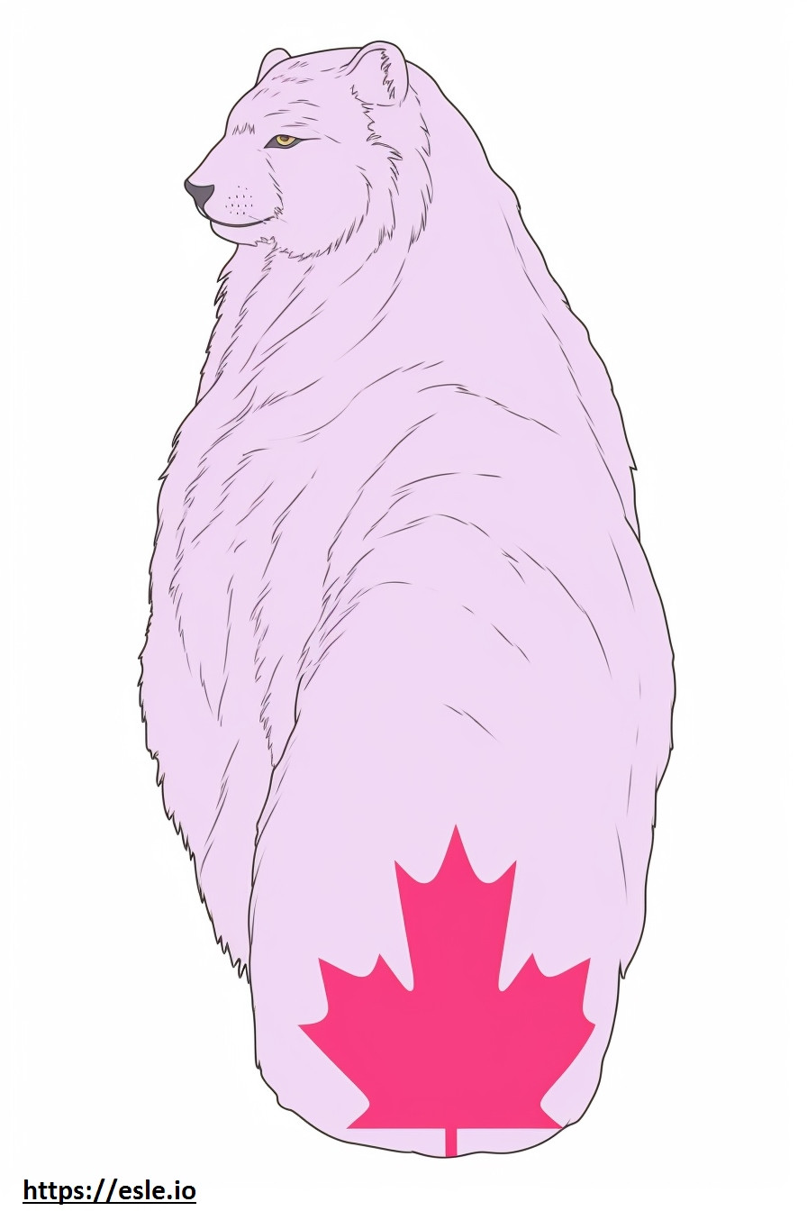 Ryś kanadyjski śpi kolorowanka