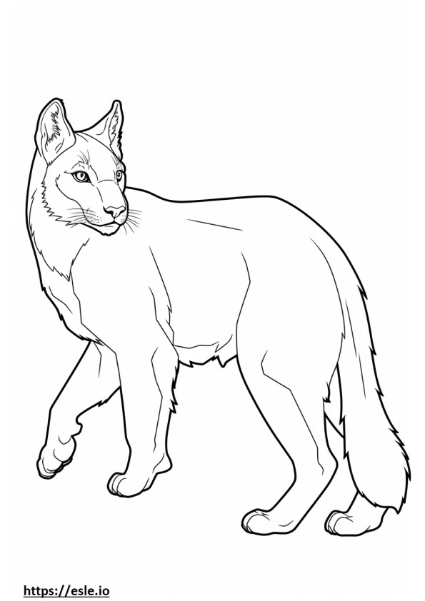 Canada Lynx-vriendelijk kleurplaat