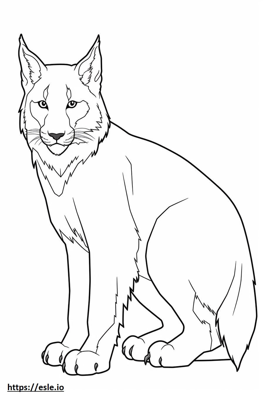 Canada Lynx-vriendelijk kleurplaat kleurplaat