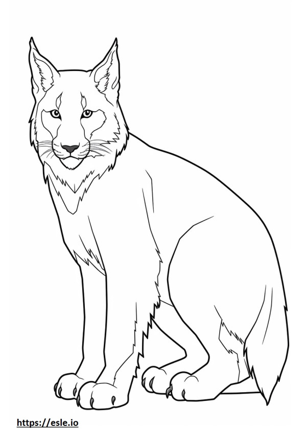Coloriage Amis des Lynx du Canada à imprimer