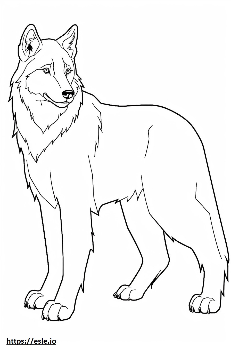 Canada Lynx Friendly coloring page