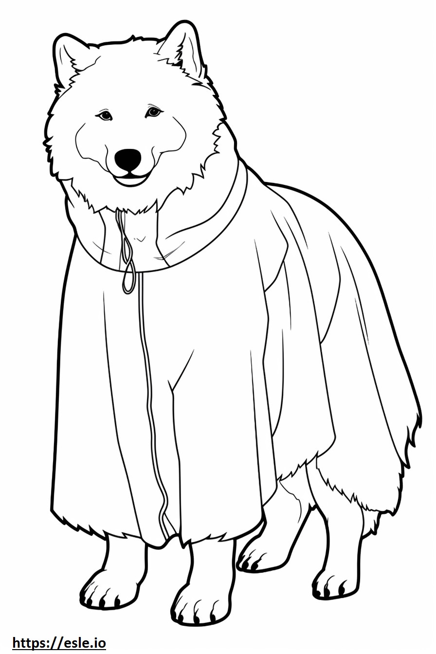 Całe ciało kanadyjskiego psa eskimoskiego kolorowanka