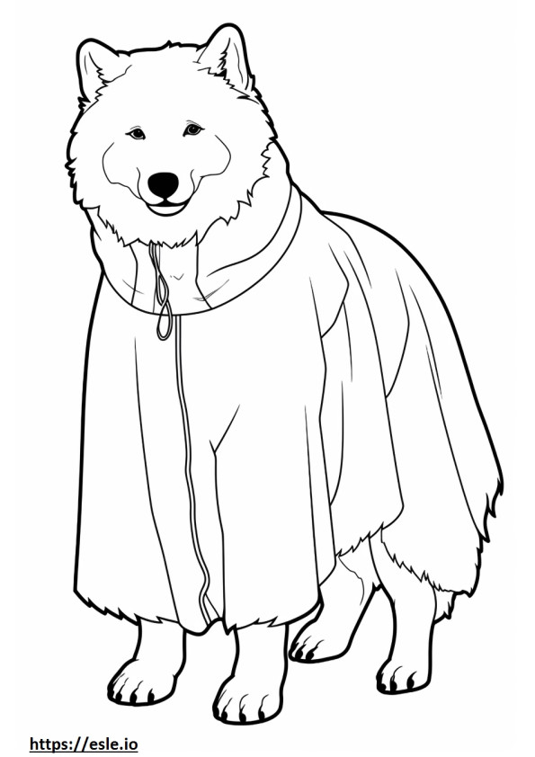 Perro esquimal canadiense de cuerpo completo para colorear e imprimir