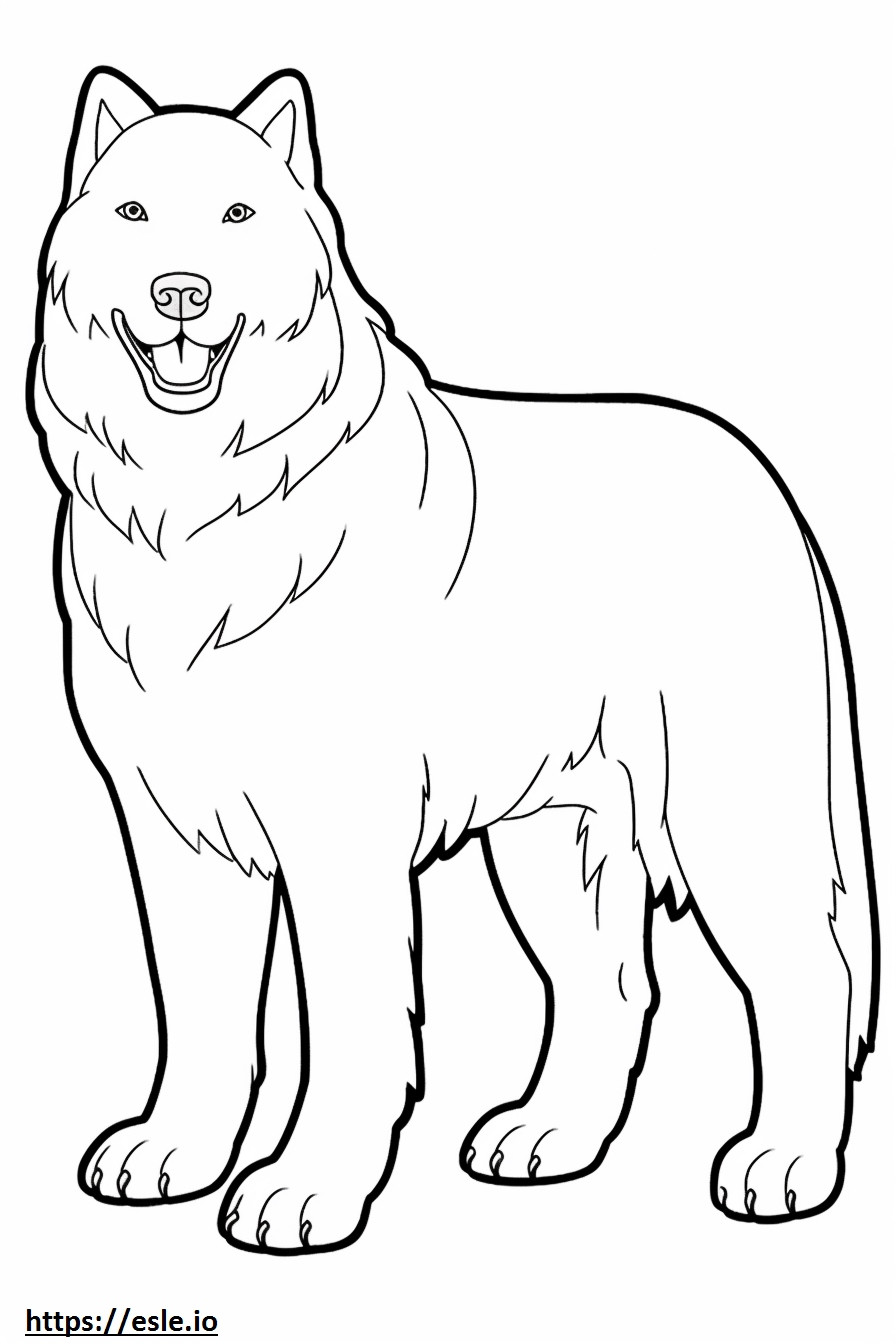 Canadian Eskimo Dog full body coloring page