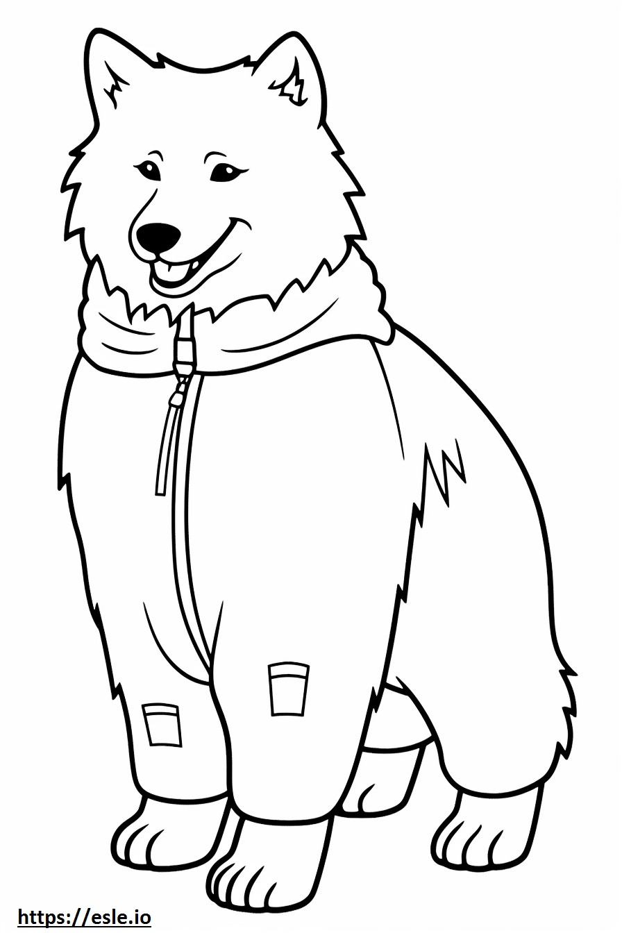 Canadian Eskimo Dog cartoon coloring page