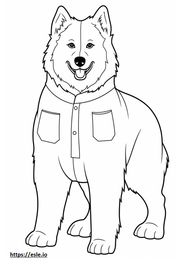 Kartun Anjing Eskimo Kanada gambar mewarnai
