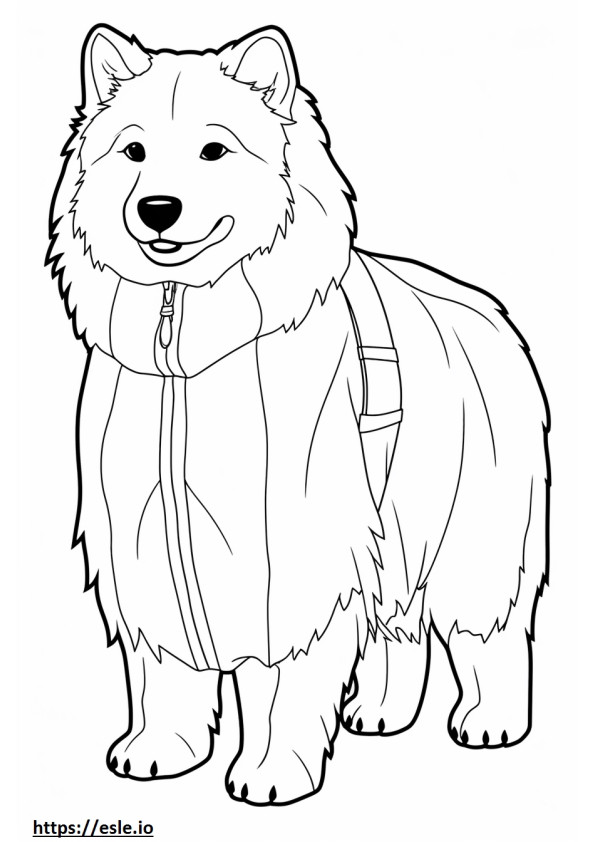 Cão esquimó canadense fofo para colorir