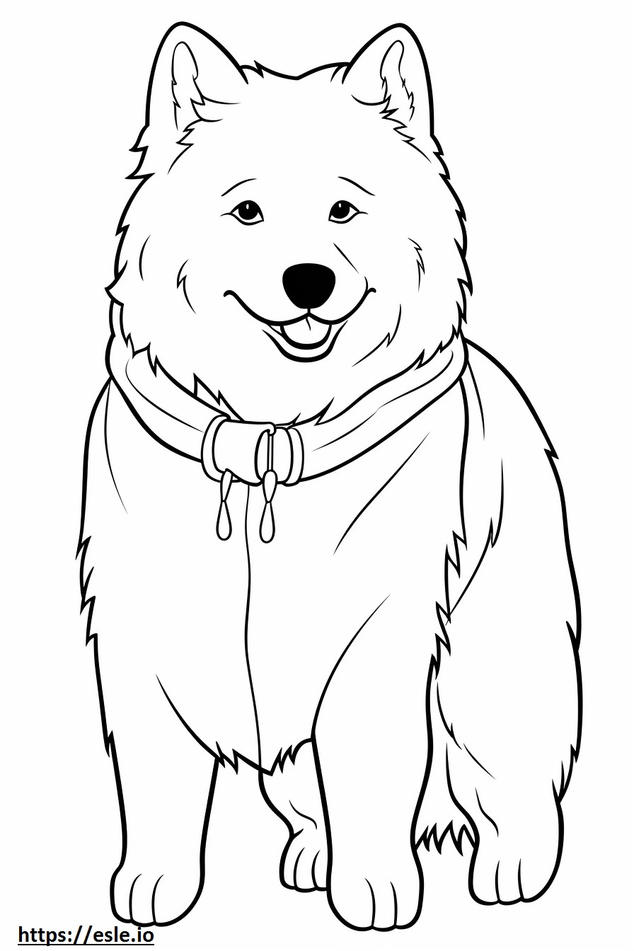 Cão esquimó canadense fofo para colorir