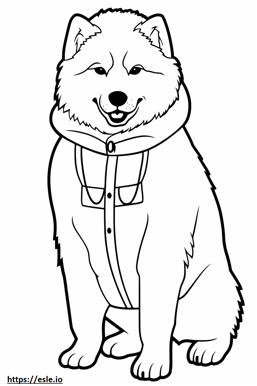Anjing Eskimo Kanada senang gambar mewarnai