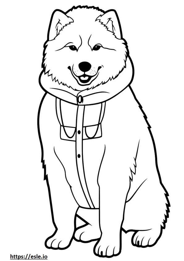 Perro esquimal canadiense feliz para colorear e imprimir