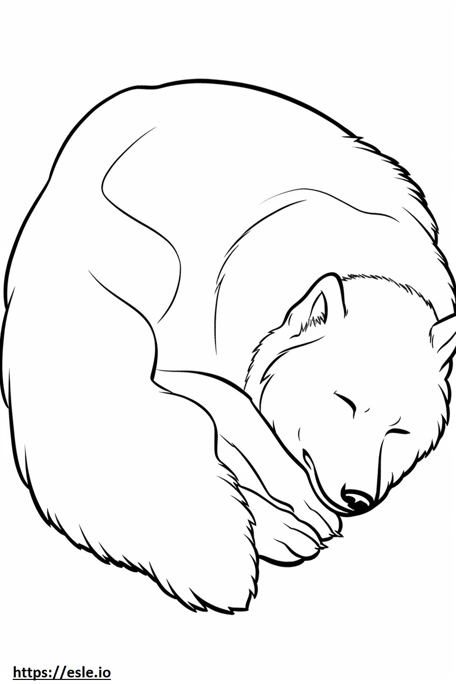 Canadese Eskimohond slaapt kleurplaat kleurplaat