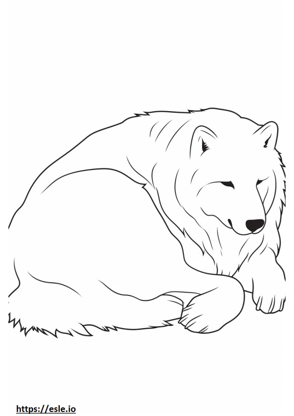 Uyuyan Kanada Eskimo Köpeği boyama