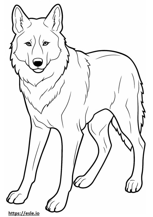 Canadian Eskimo Dog Playing coloring page
