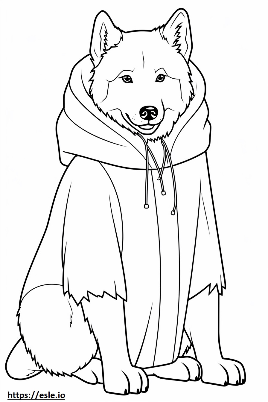 Przyjazny psom kanadyjskiego Eskimosa kolorowanka