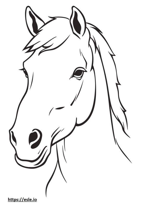 Kanadan hevosen kasvot värityskuva