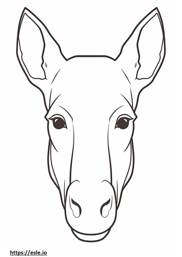 Canadian Horse face coloring page