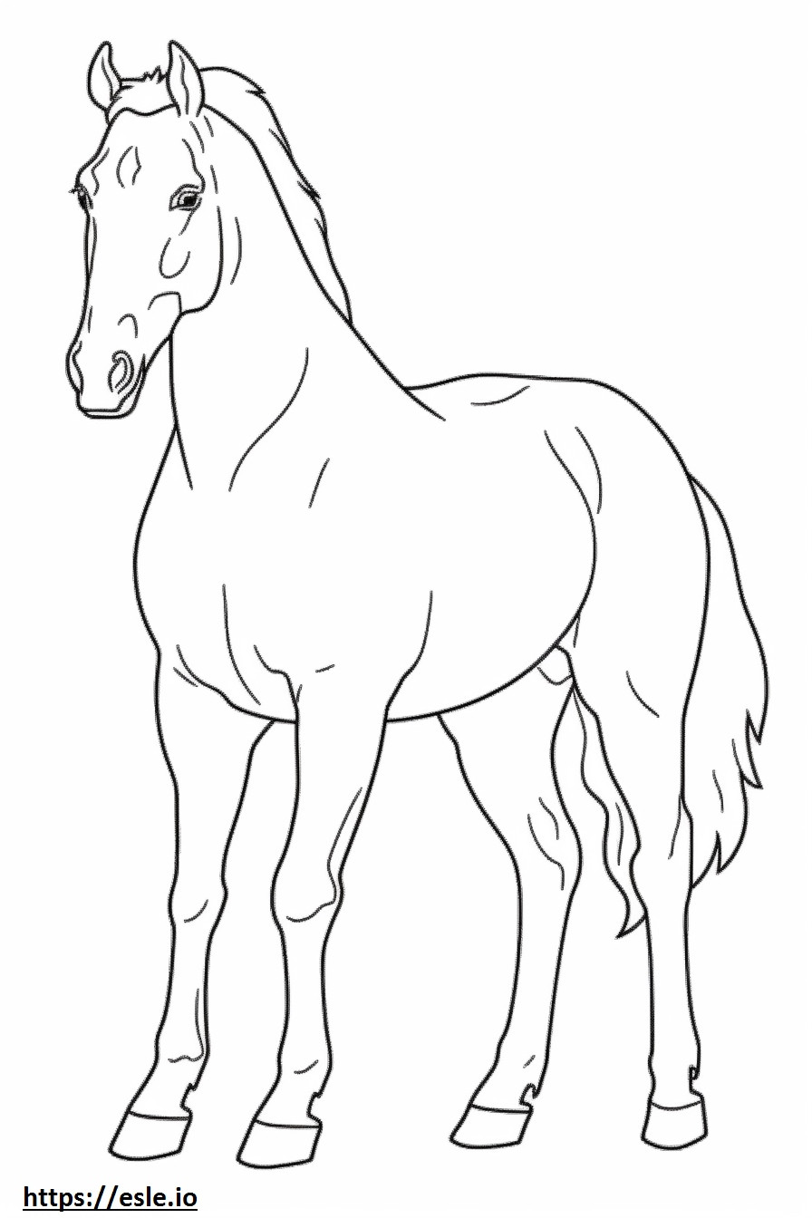 Cavallo canadese a corpo intero da colorare