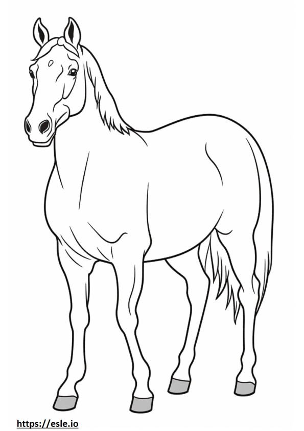Ganzkörperansicht eines kanadischen Pferdes ausmalbild