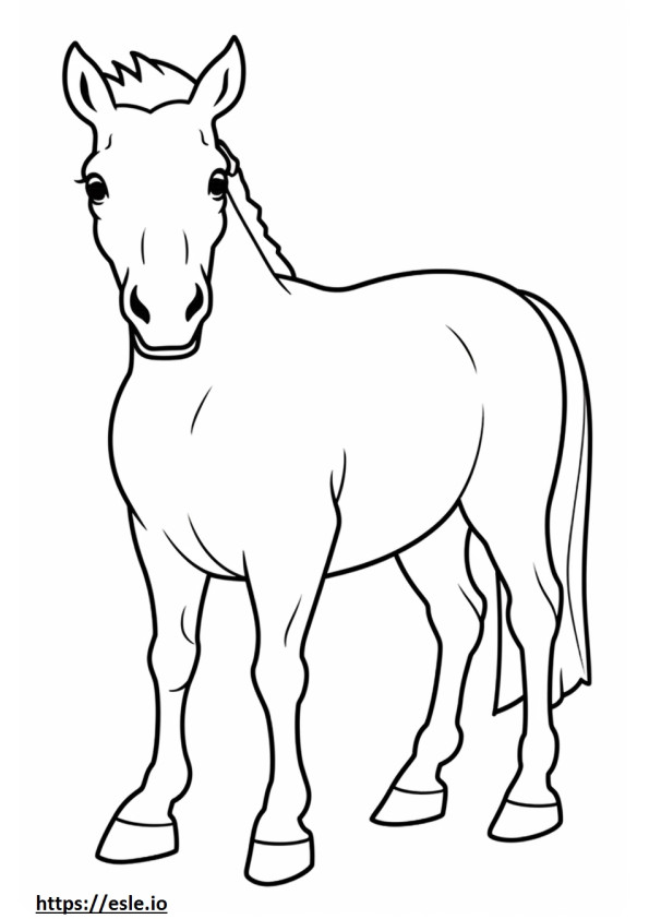 Coloriage Bébé cheval canadien à imprimer