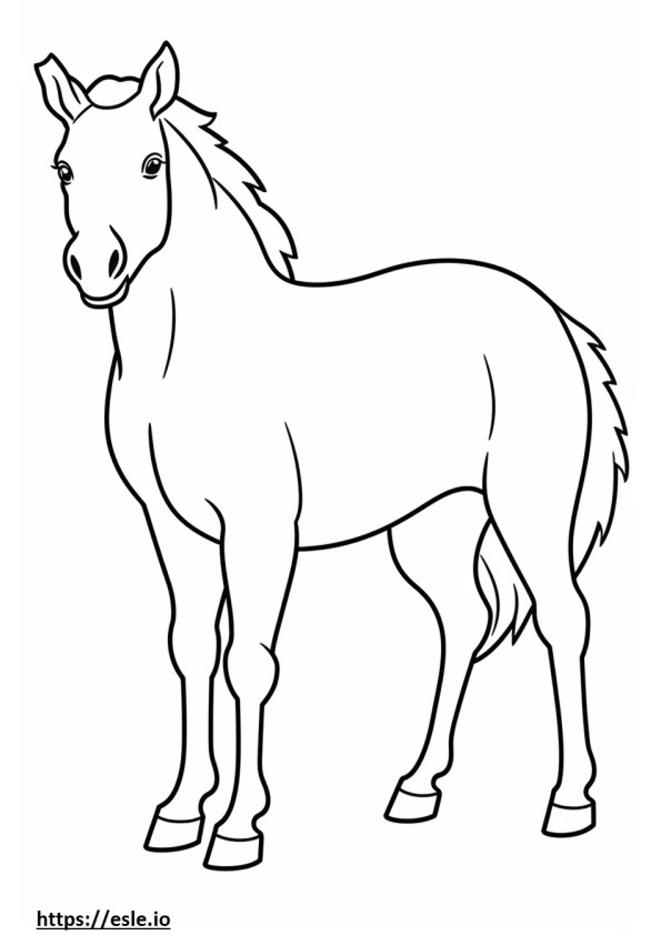 Coloriage Bébé cheval canadien à imprimer