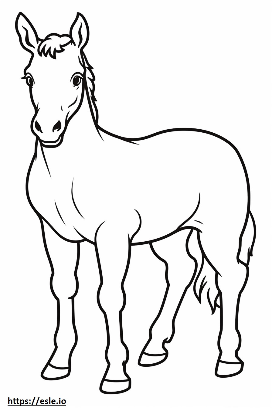 Canadian Horse baby coloring page