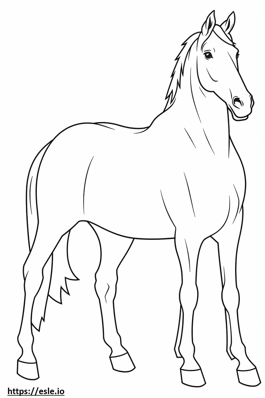Desenho de cavalo canadense para colorir