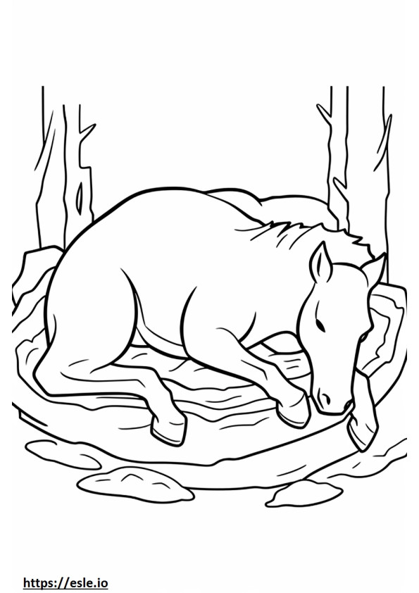 Kanadalainen hevonen nukkuu värityskuva