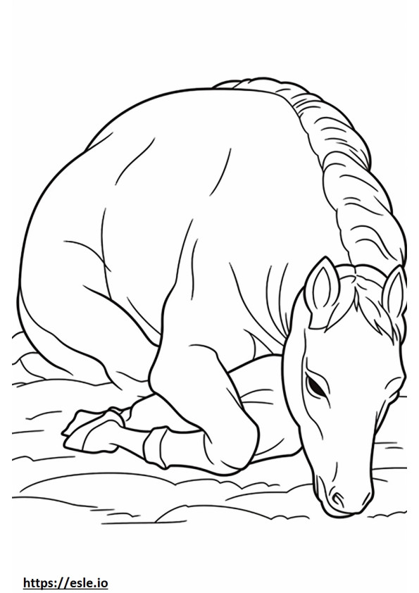 Cavallo canadese che dorme da colorare