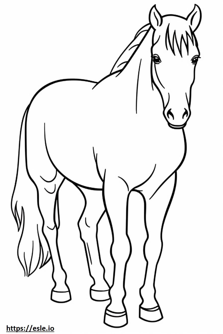 Canadian Horse Playing coloring page