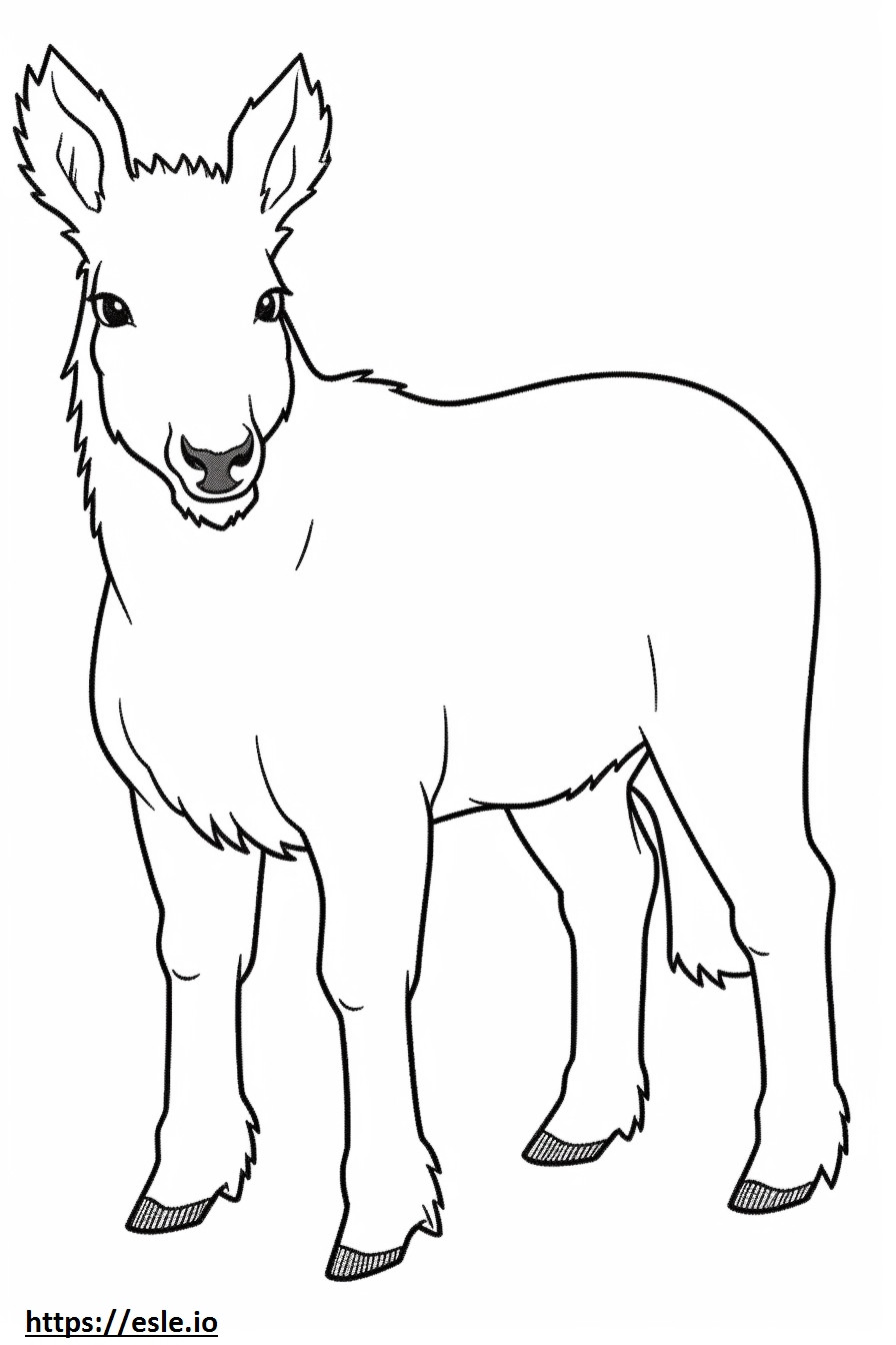 Cavalo Canadense Kawaii para colorir
