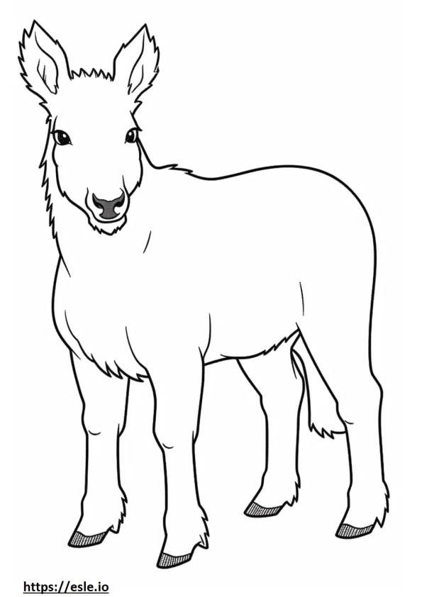 Kanadyjski koń Kawaii kolorowanka