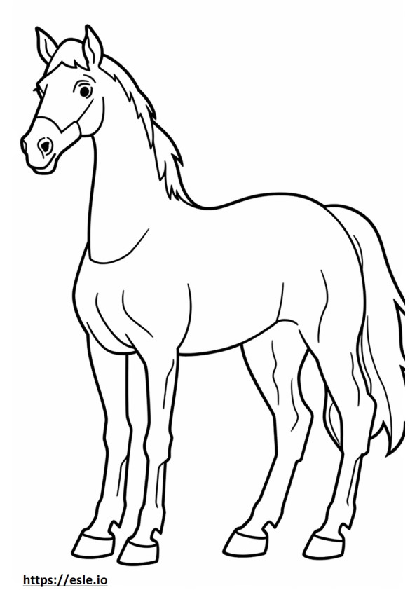 Canadian Horse Friendly coloring page