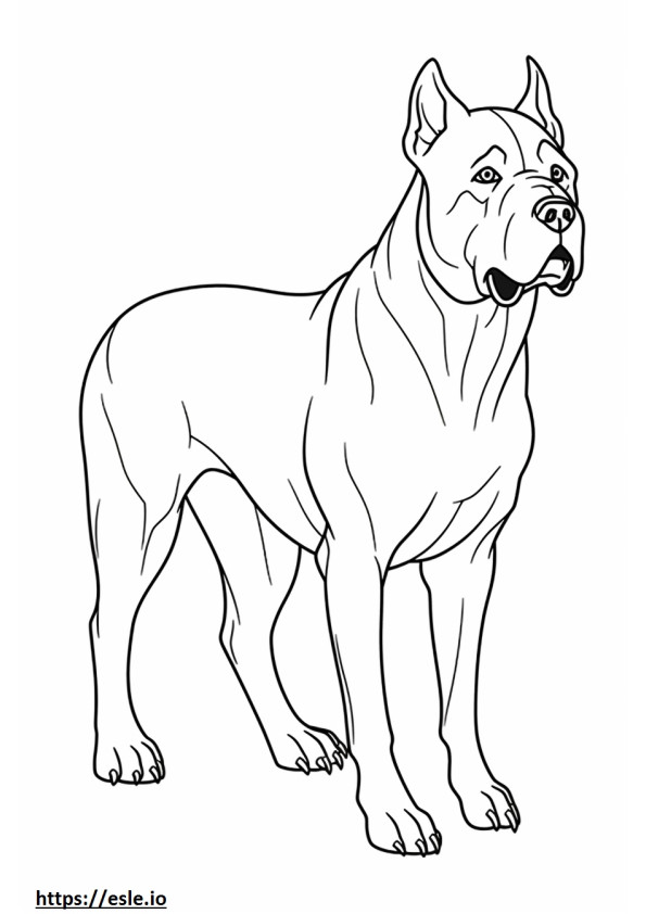 Cane Corso full body coloring page
