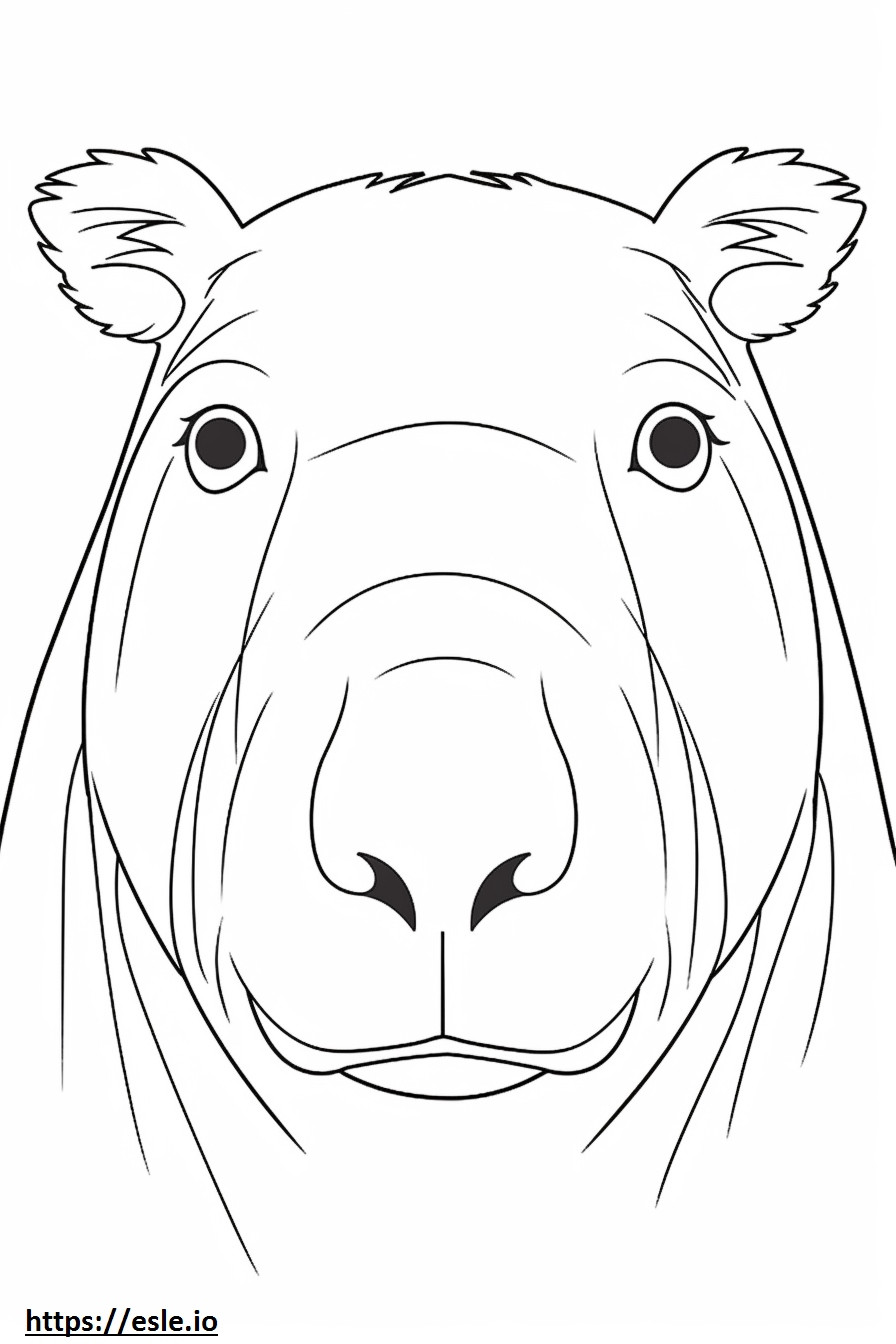 Capybaran kasvot värityskuva