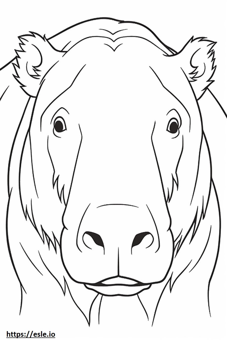 Capybara face coloring page
